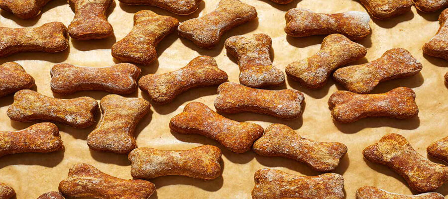 How to Make Healthy Dog Treats at Home